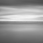 The Way