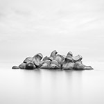 Forms