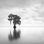 Guardians of Oracle II