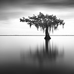 Guardians of Oracle I
