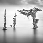 guardians of Oracle VII