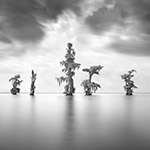 Guardians of Oracle IX